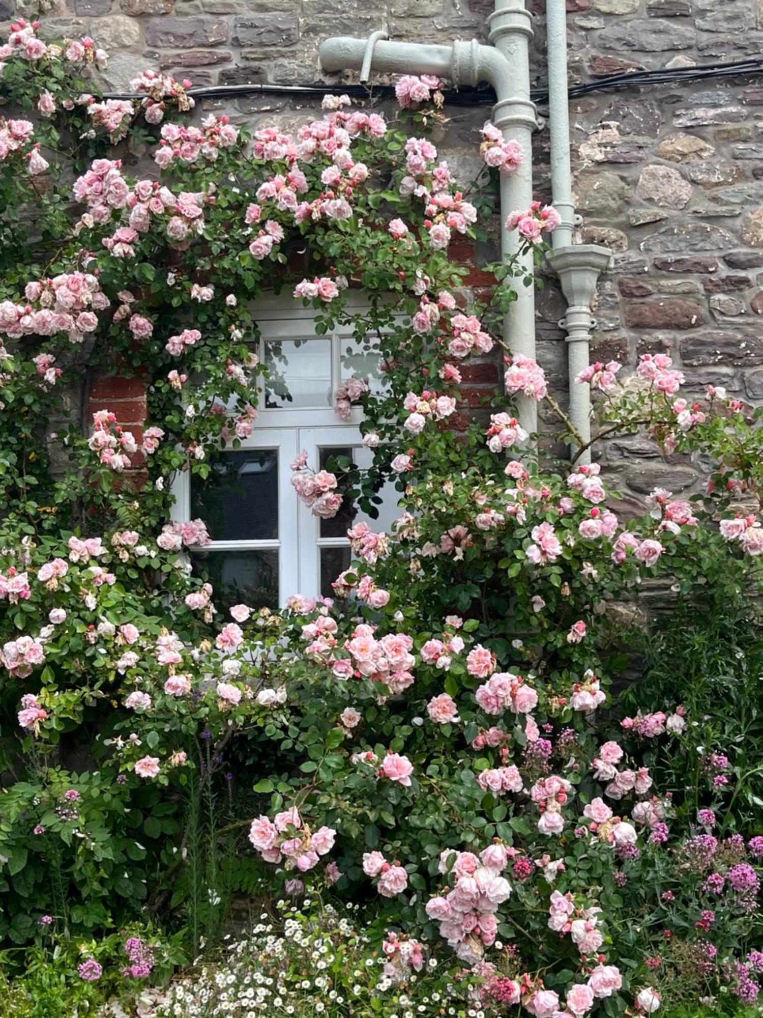 The Cottage Abergavenny Kültér fotó